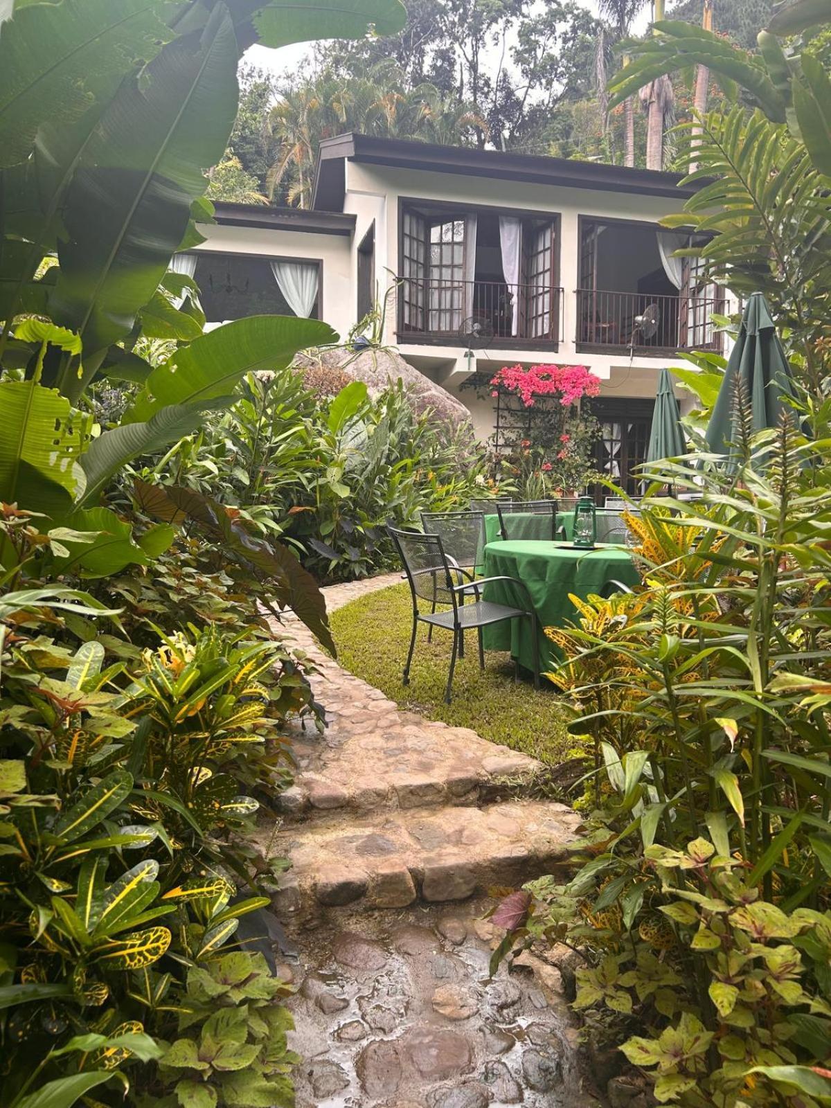 Serendipity Holistic Resort Spa 킹스톤 외부 사진