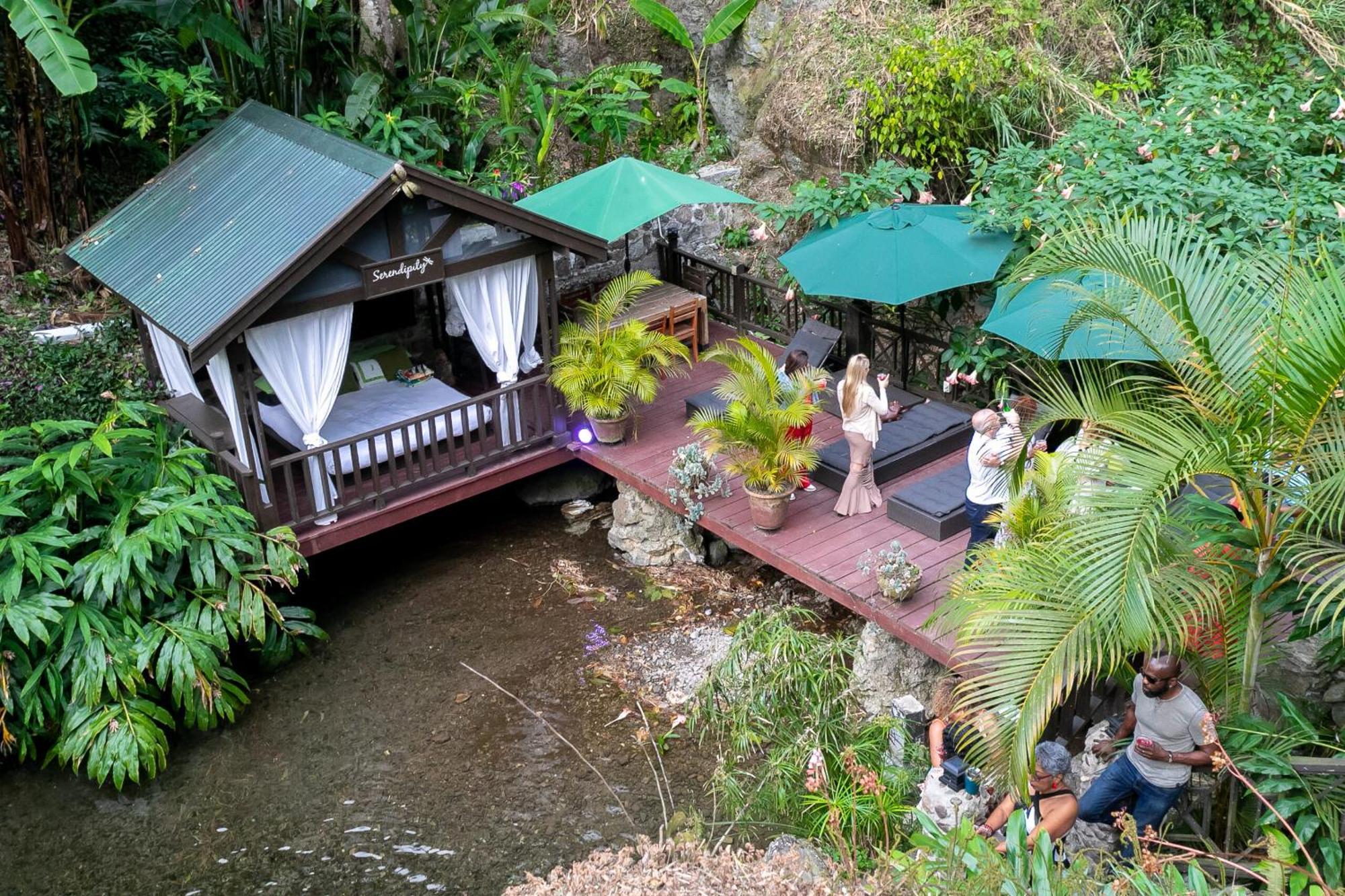 Serendipity Holistic Resort Spa 킹스톤 외부 사진